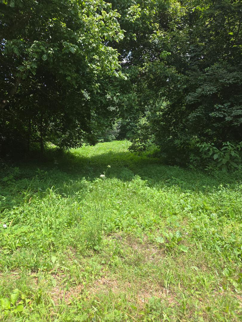 206 Old Villa Ridge Road Property Photo 2