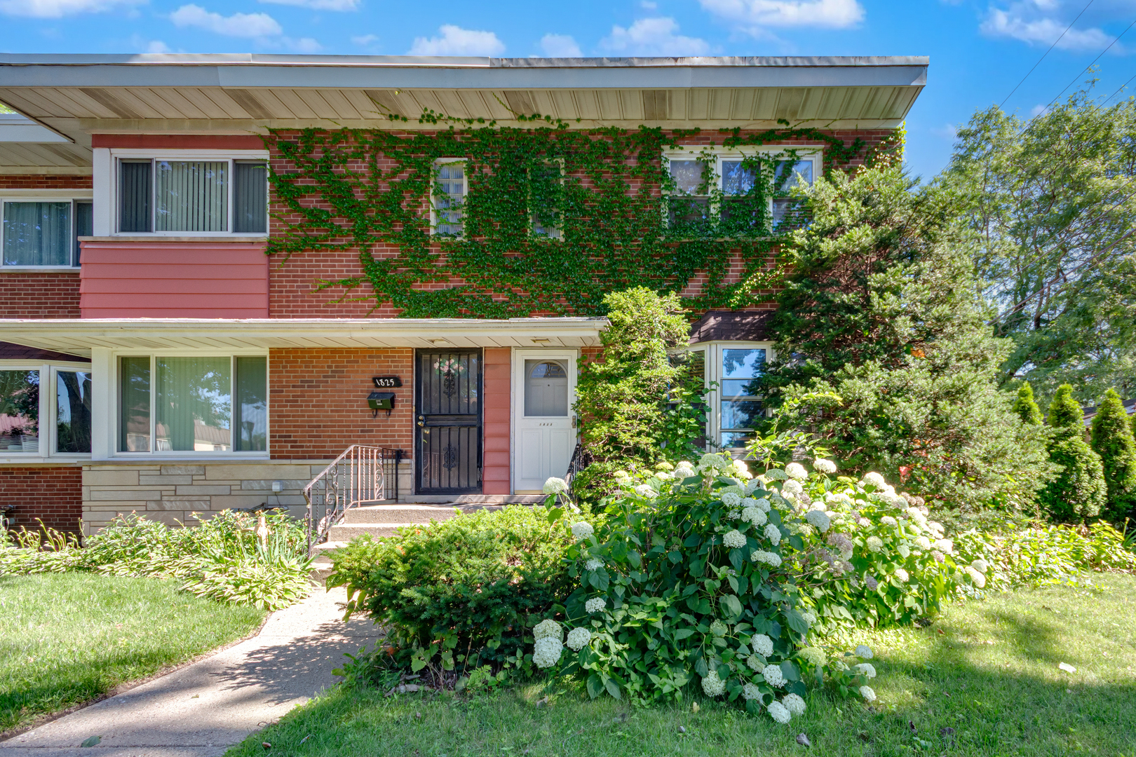 1823 Dobson Street Property Photo 1