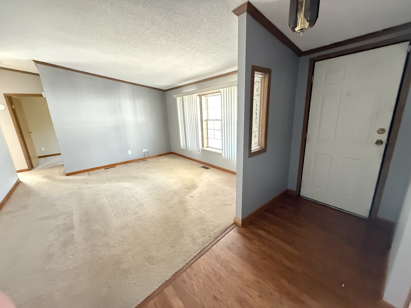 25751 Olympic Drive Property Photo 12