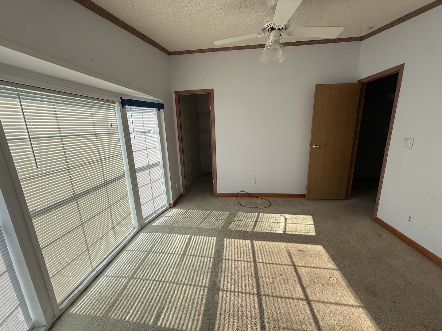 25751 Olympic Drive Property Photo 16