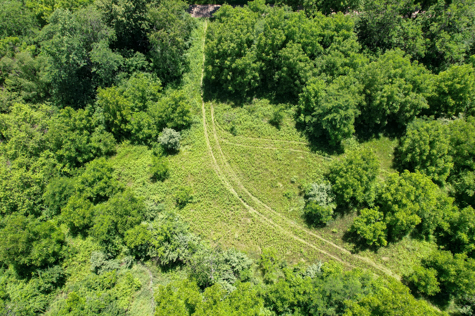 15514 300 North Avenue Property Photo 7