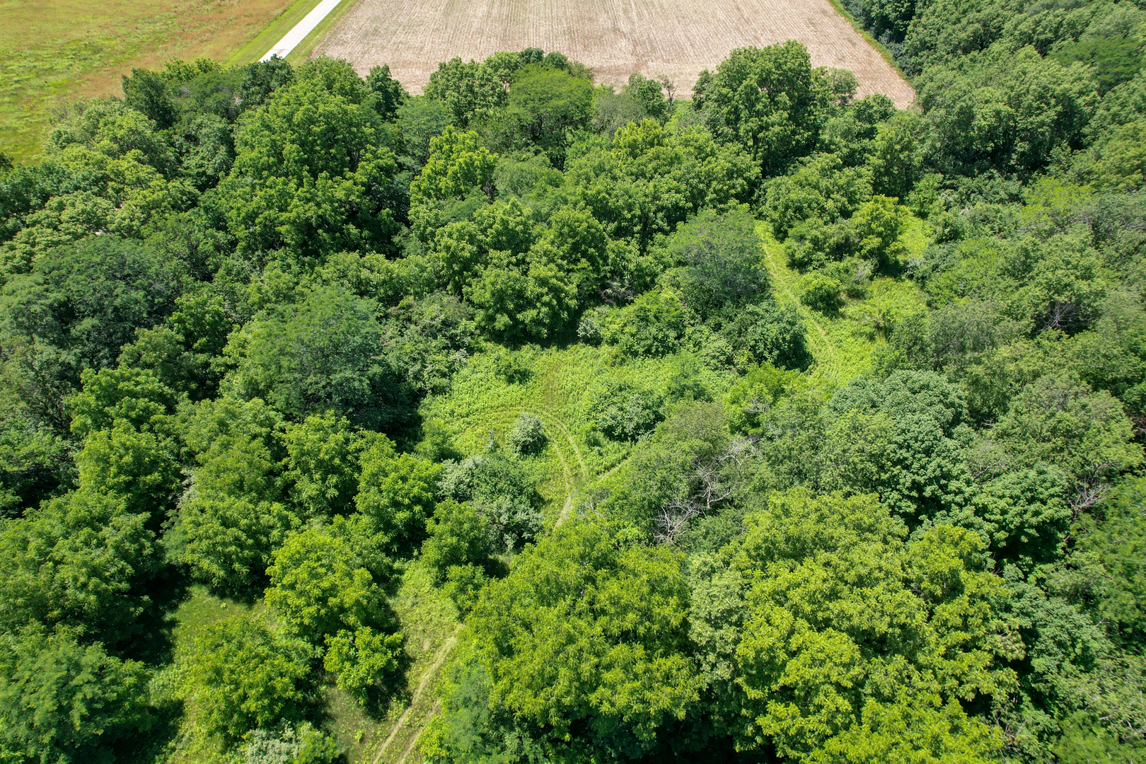 15514 300 North Avenue Property Photo 8