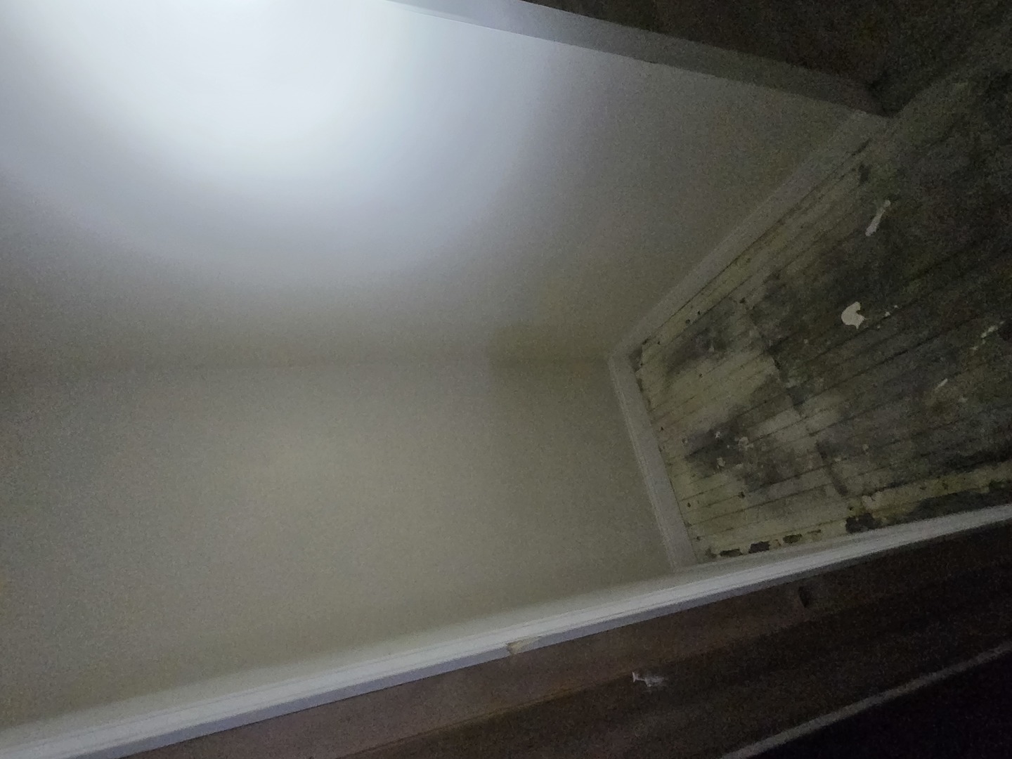 426 N Trumbull Avenue Property Photo 18