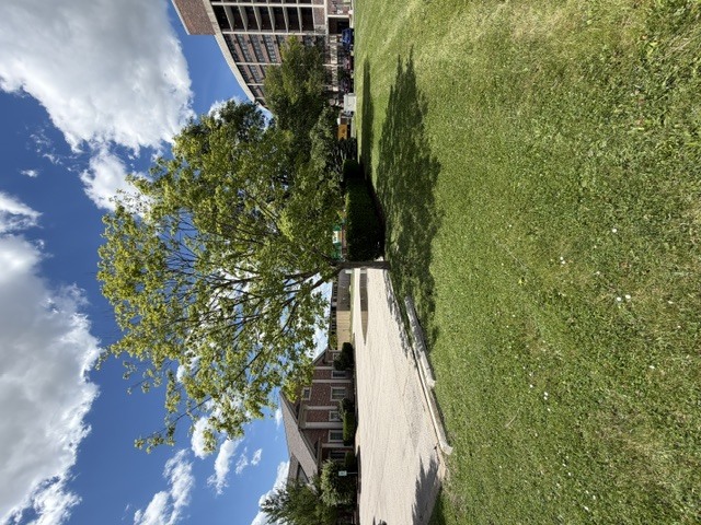 00 Uno Circle Property Photo 3