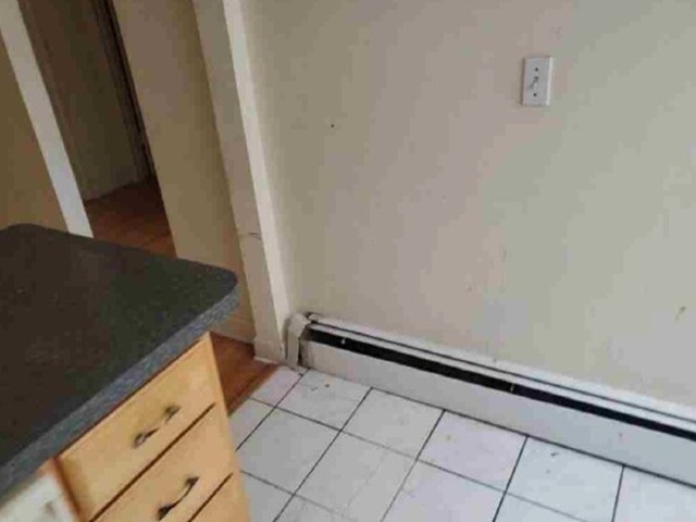 7123 N Damen Avenue 5e Property Photo 7