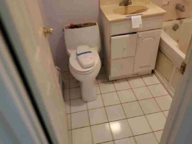 7123 N Damen Avenue 5e Property Photo 12