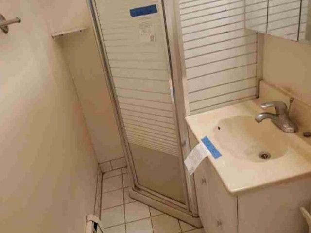 7123 N Damen Avenue 5e Property Photo 13