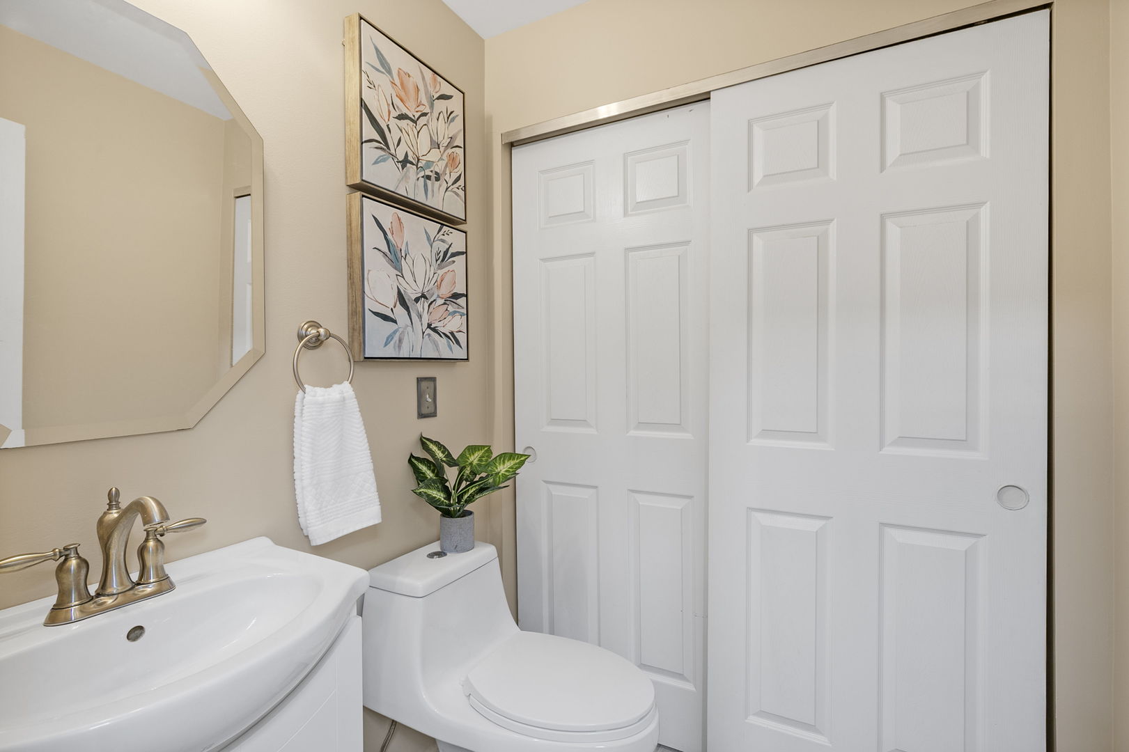 896 Cherry Creek Drive Property Photo 12