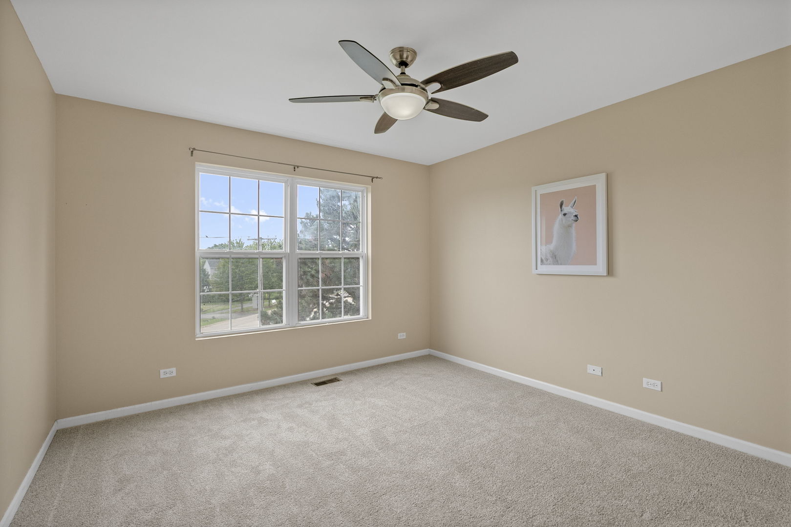 896 Cherry Creek Drive Property Photo 17