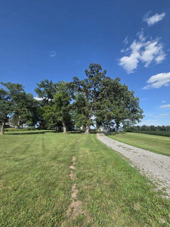 3794 Valier Carpet Road Property Photo 7