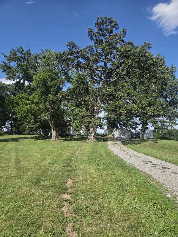 3794 Valier Carpet Road Property Photo 8