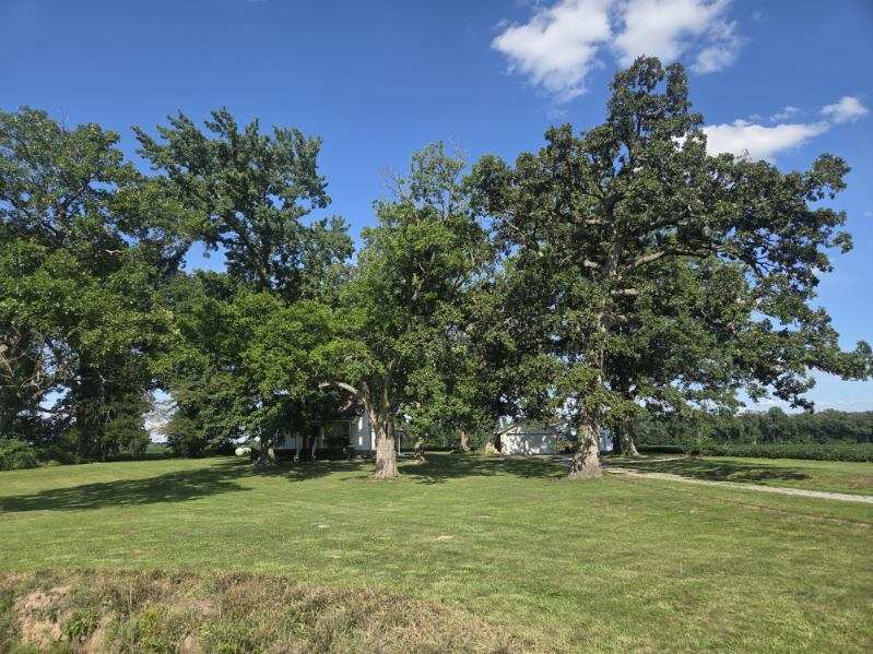 3794 Valier Carpet Road Property Photo 9