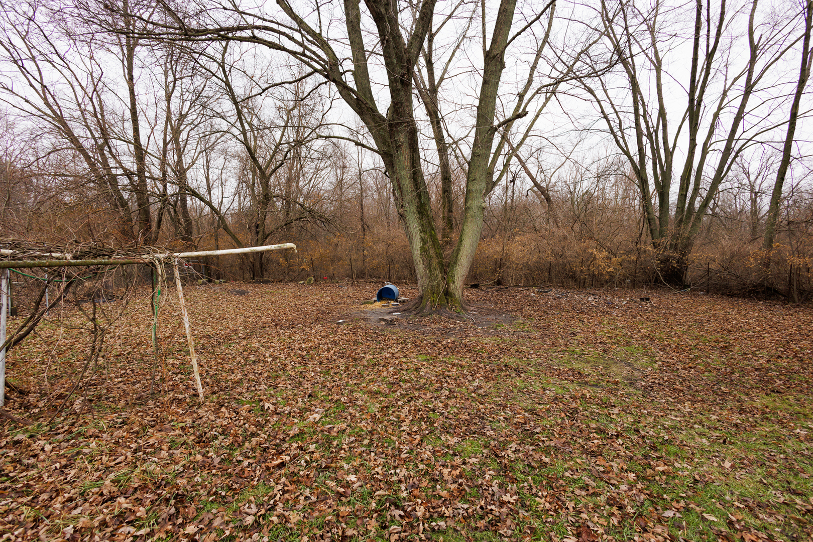12878 E 2310s Road Property Photo 13