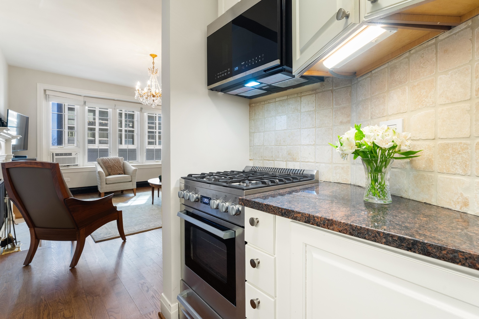 70 E Scott Street 307 Property Photo 11
