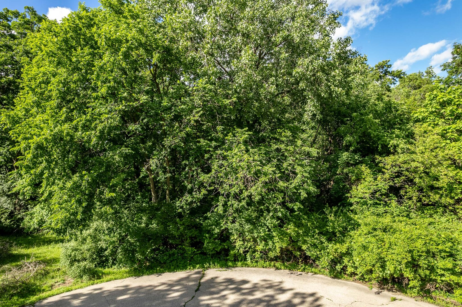 217 New Forest Road