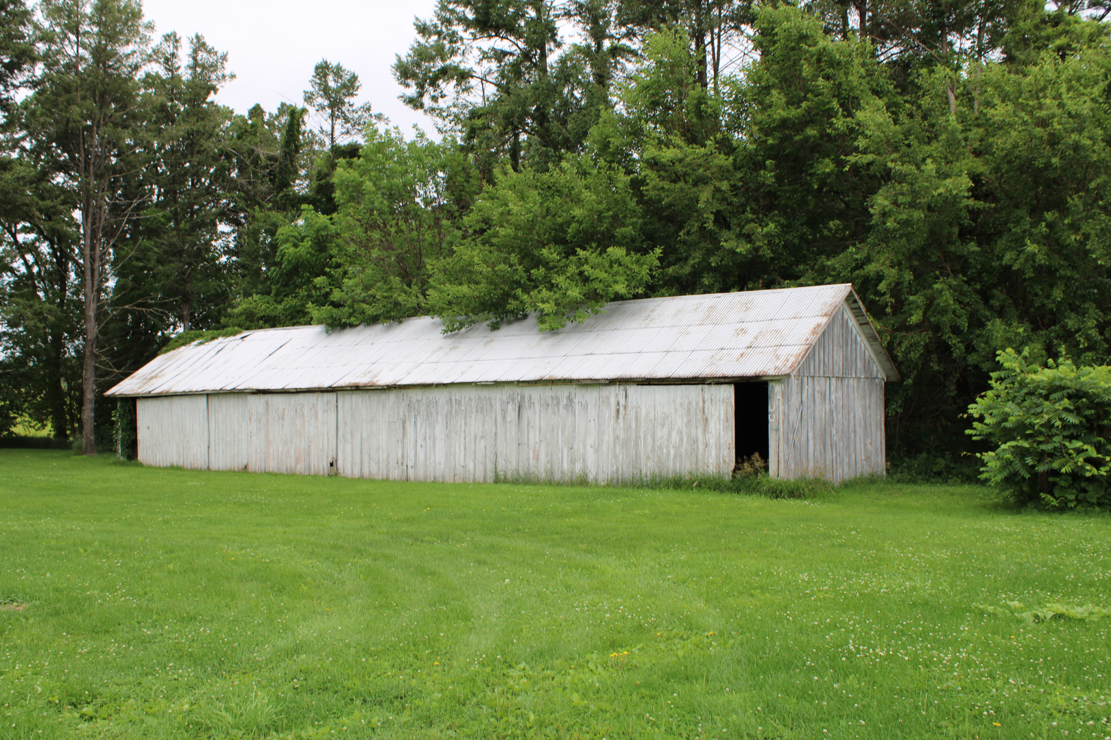 4149 School Road Property Photo 22
