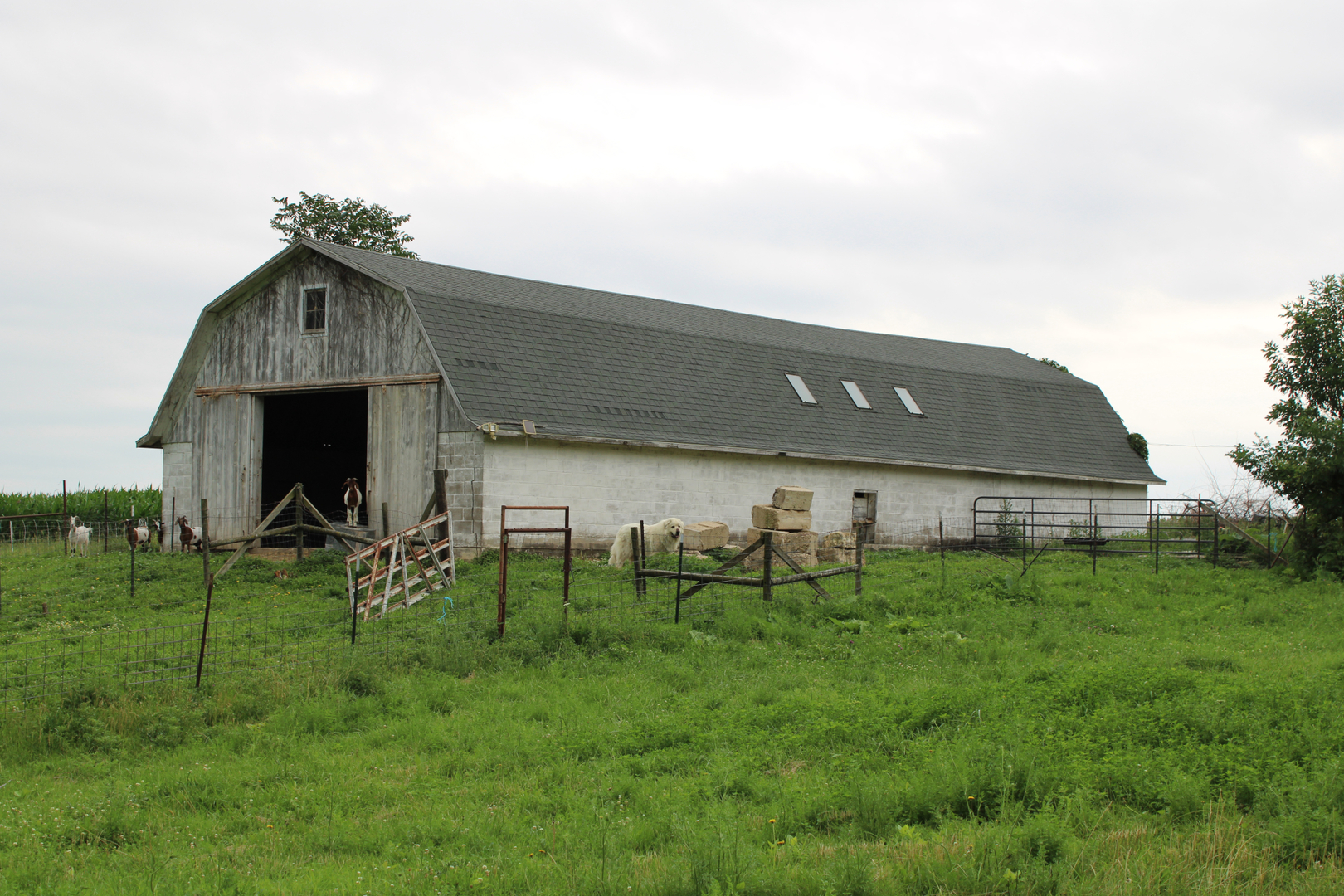 4149 School Road Property Photo 25