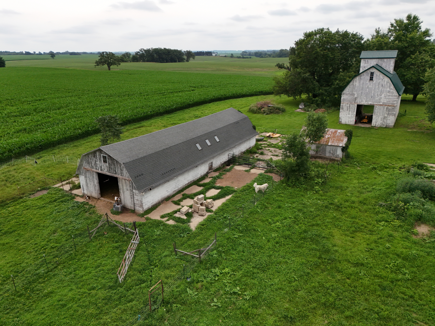 4149 School Road Property Photo 47