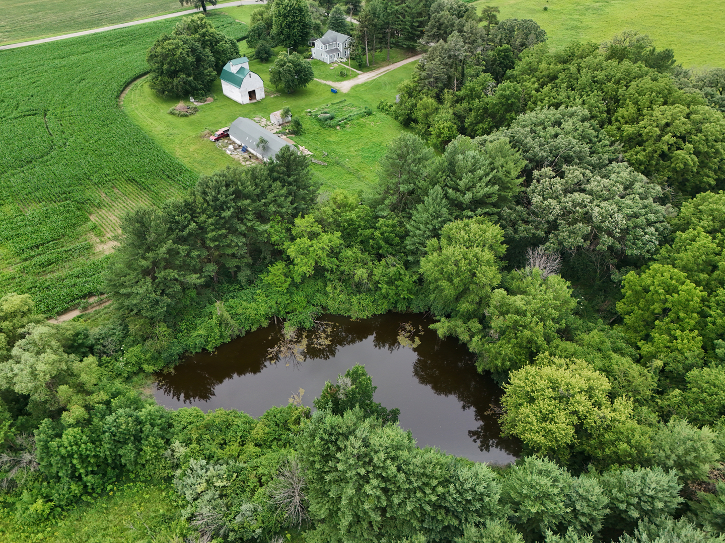 4149 School Road Property Photo 56