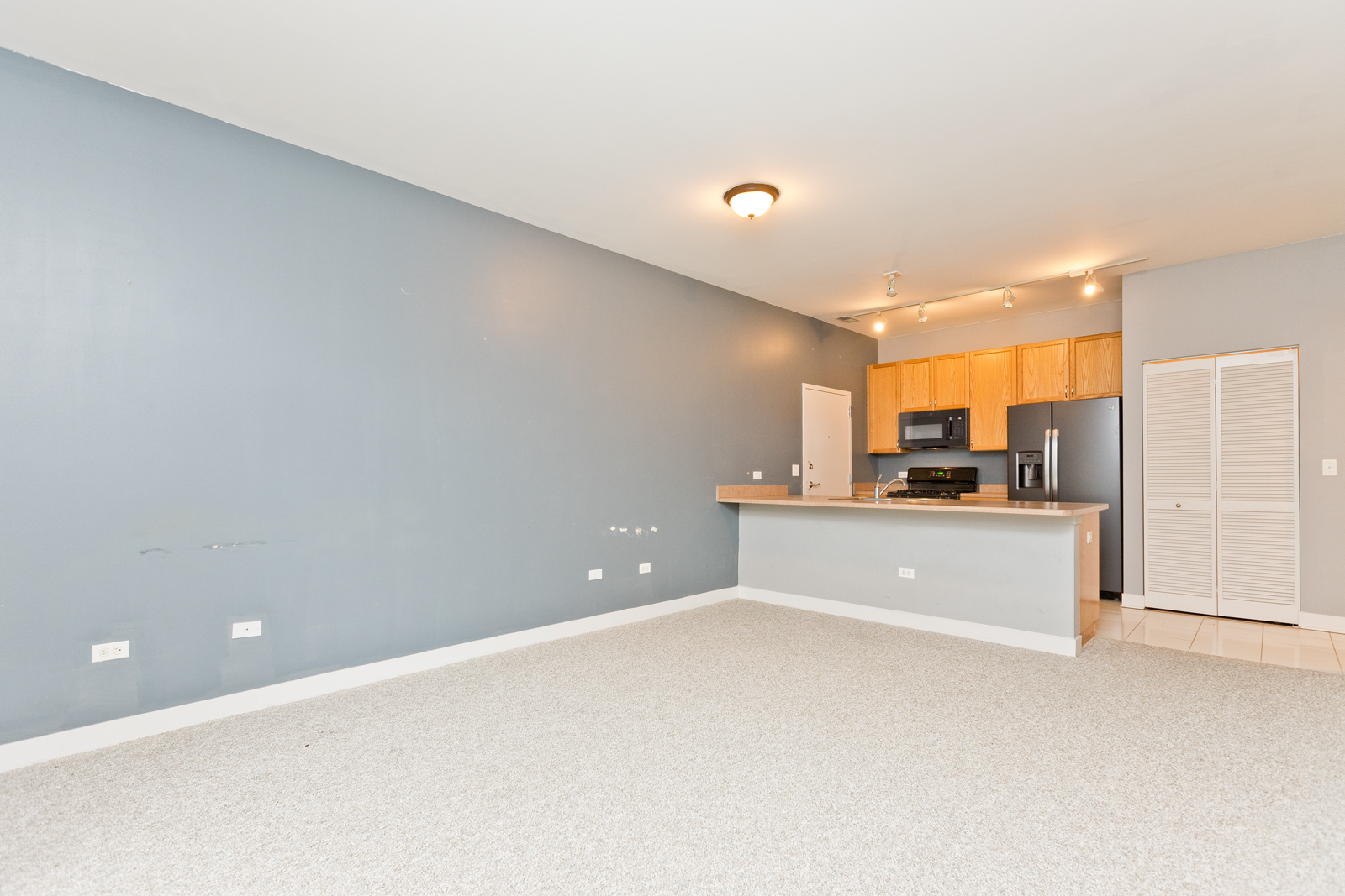 1515 S Halsted Street 214 Property Photo 4