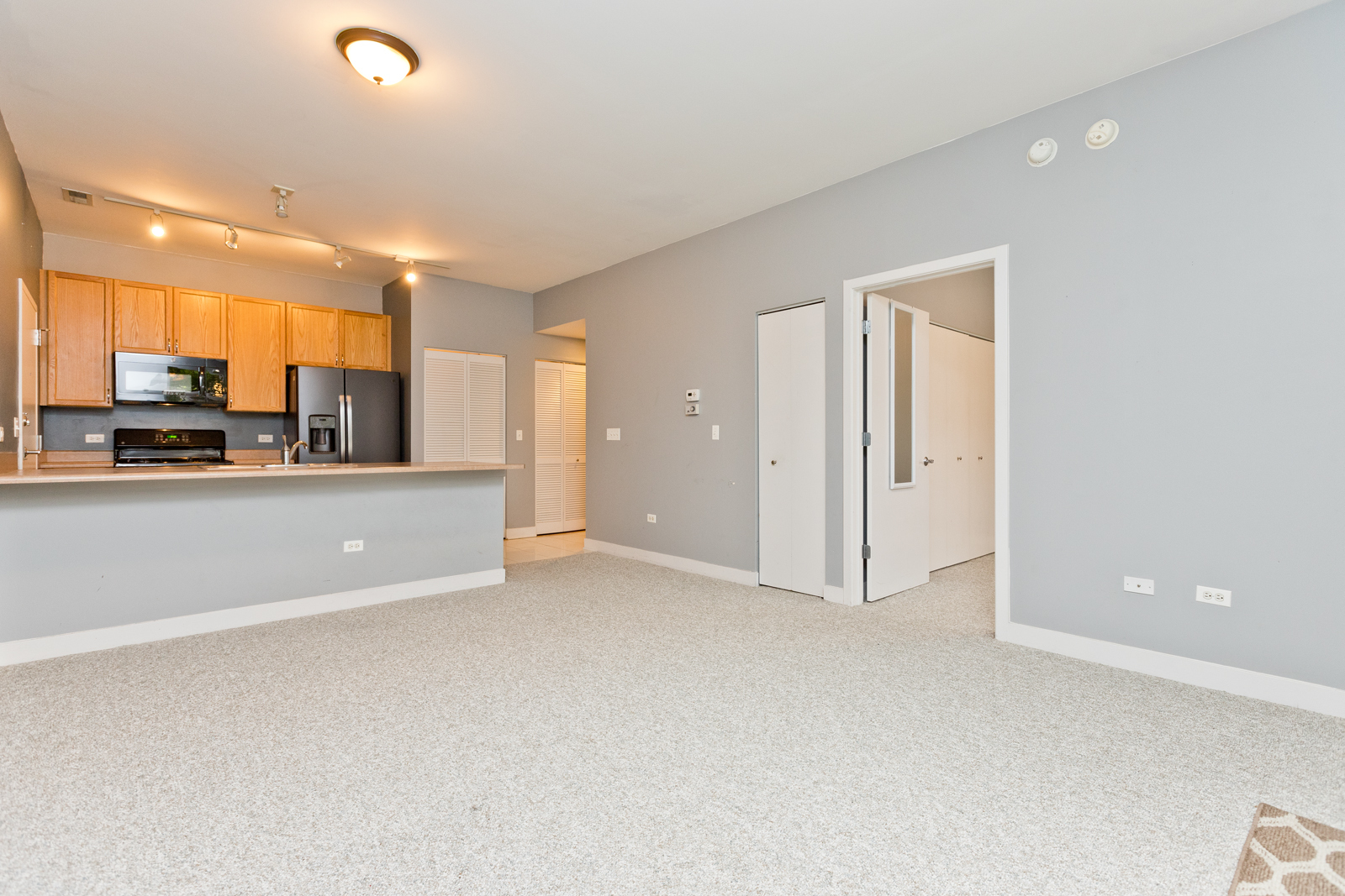 1515 S Halsted Street 214 Property Photo 5