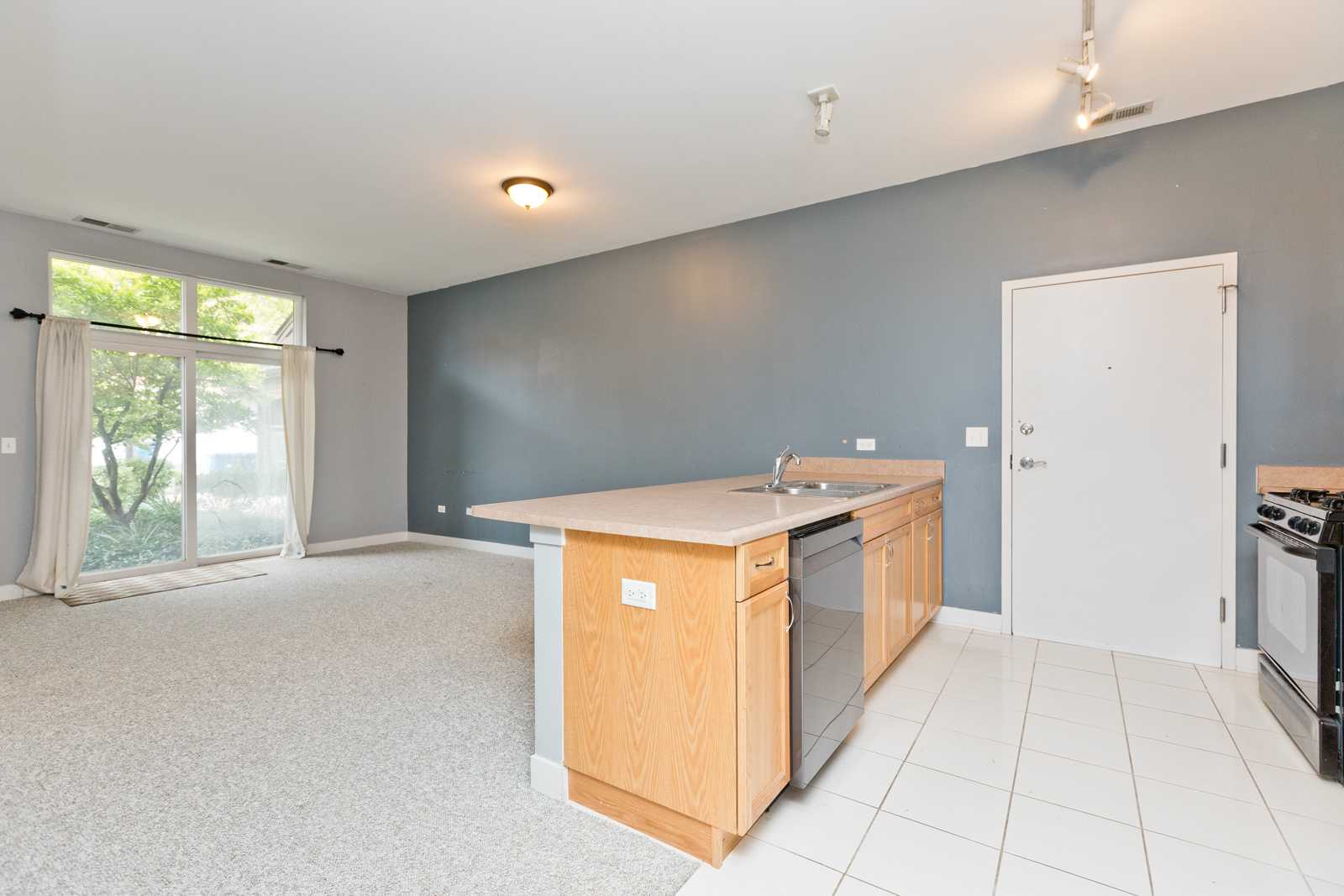 1515 S Halsted Street 214 Property Photo 6