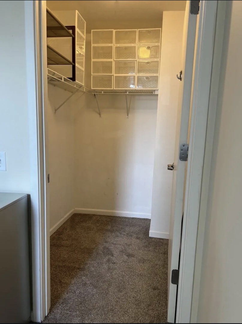 545 N Dearborn Street 3107 Property Photo 13