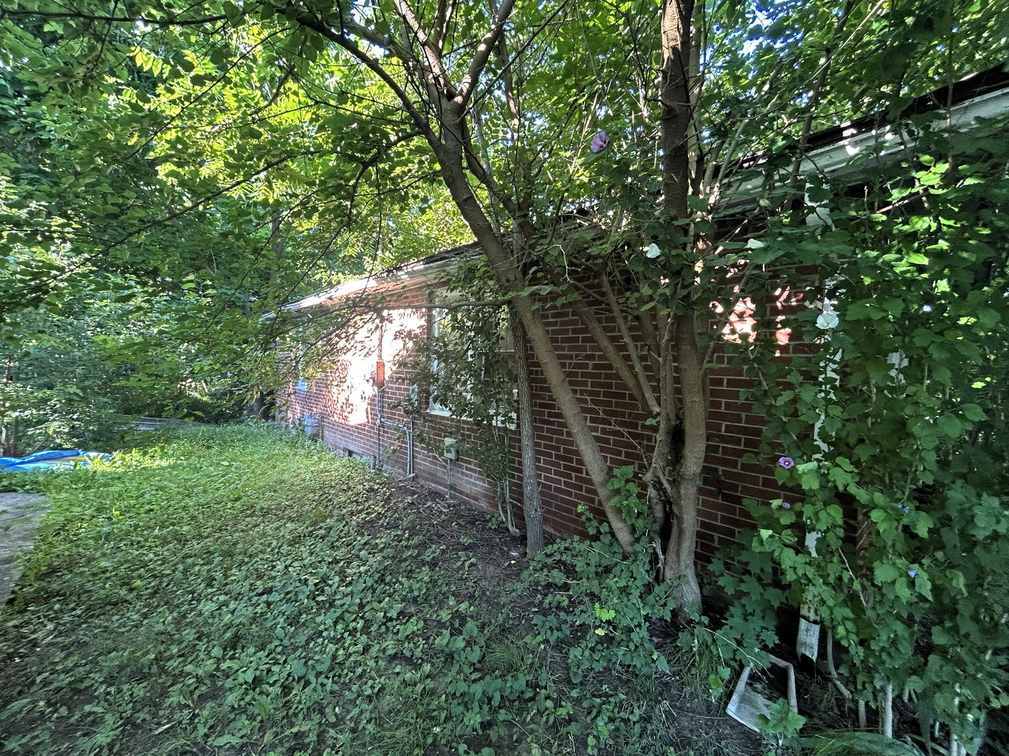 930 Vandalia Road Property Photo 10