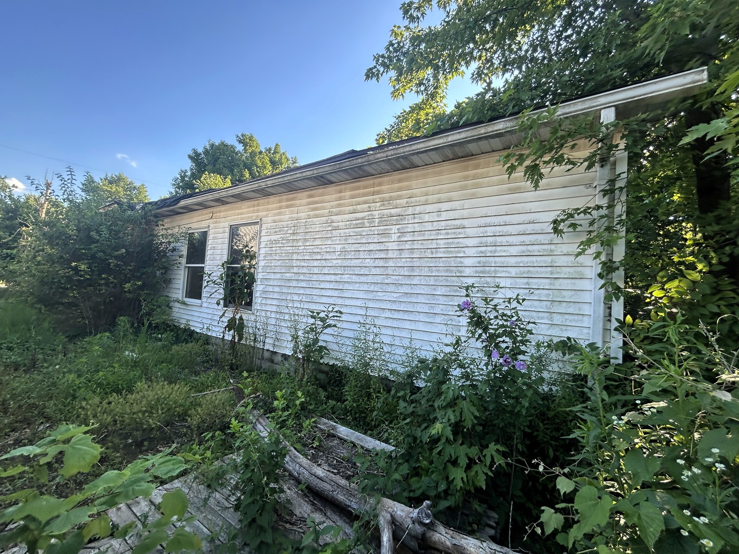 930 Vandalia Road Property Photo 11