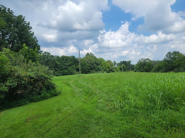 2035 Mount Hebron Road Property Photo 40