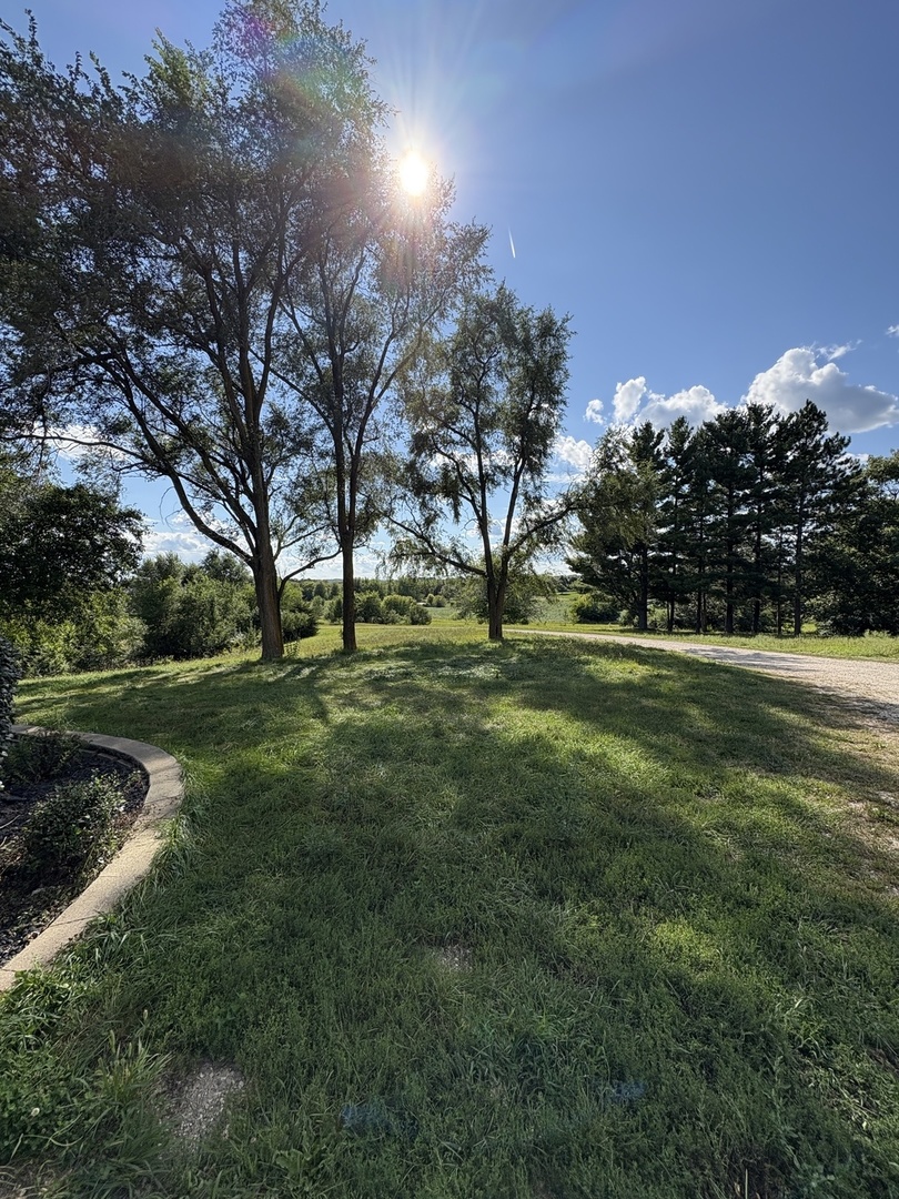 7822 N Pillow Hill Road Property Photo 12