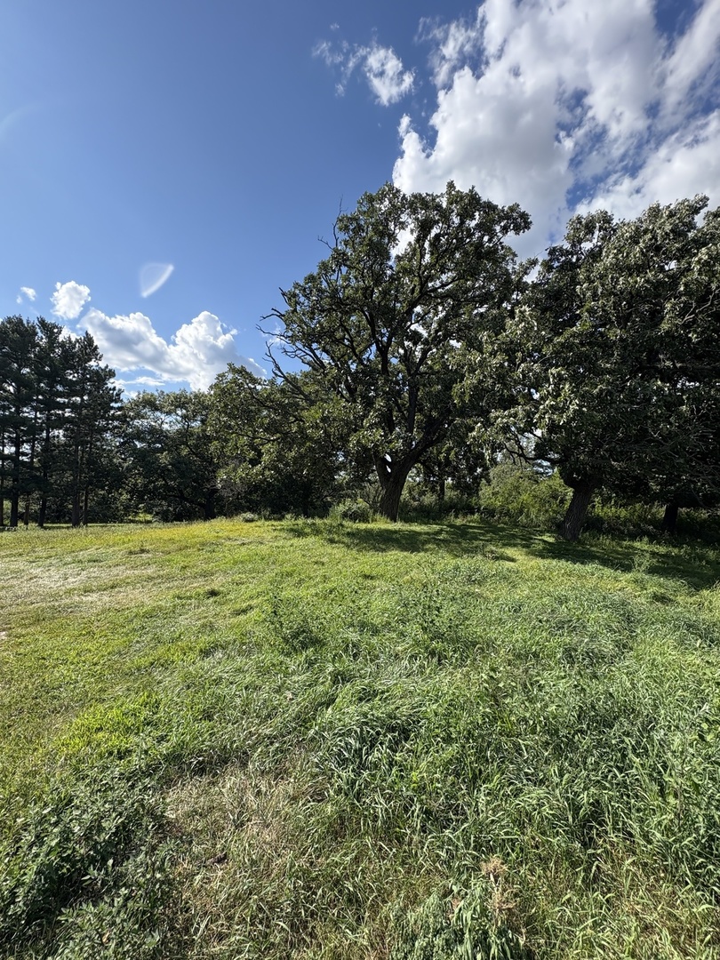 7822 N Pillow Hill Road Property Photo 13