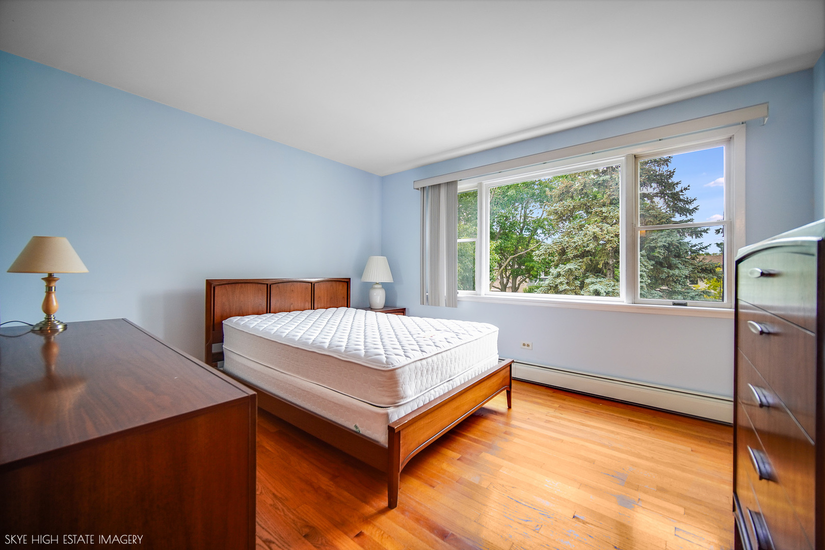 12 Elmore Street Property Photo 15