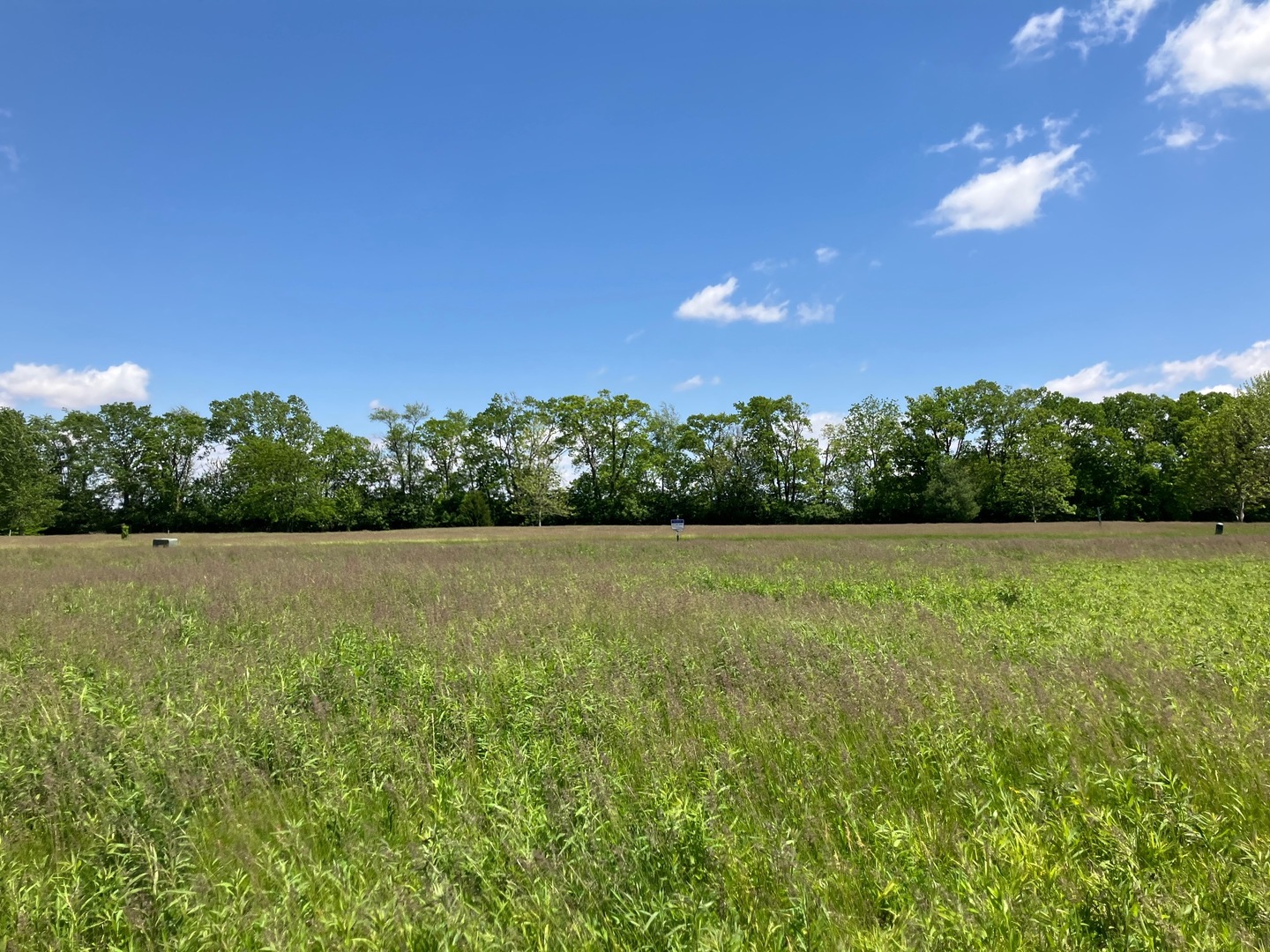 2807 N Brickhouses Road Property Photo 4