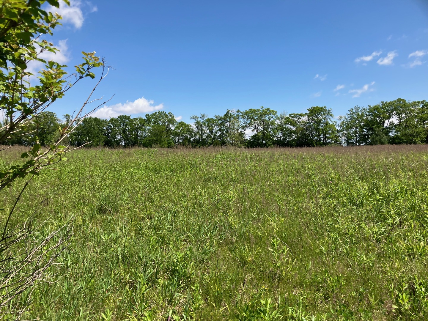 2807 N Brickhouses Road Property Photo 5
