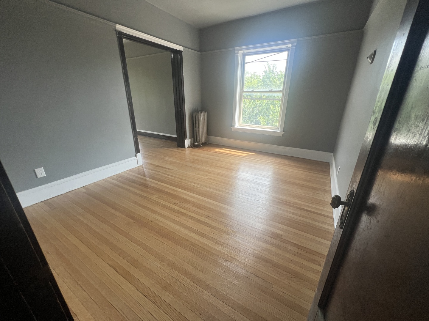 4958 S Michigan Avenue 3s Property Photo 5