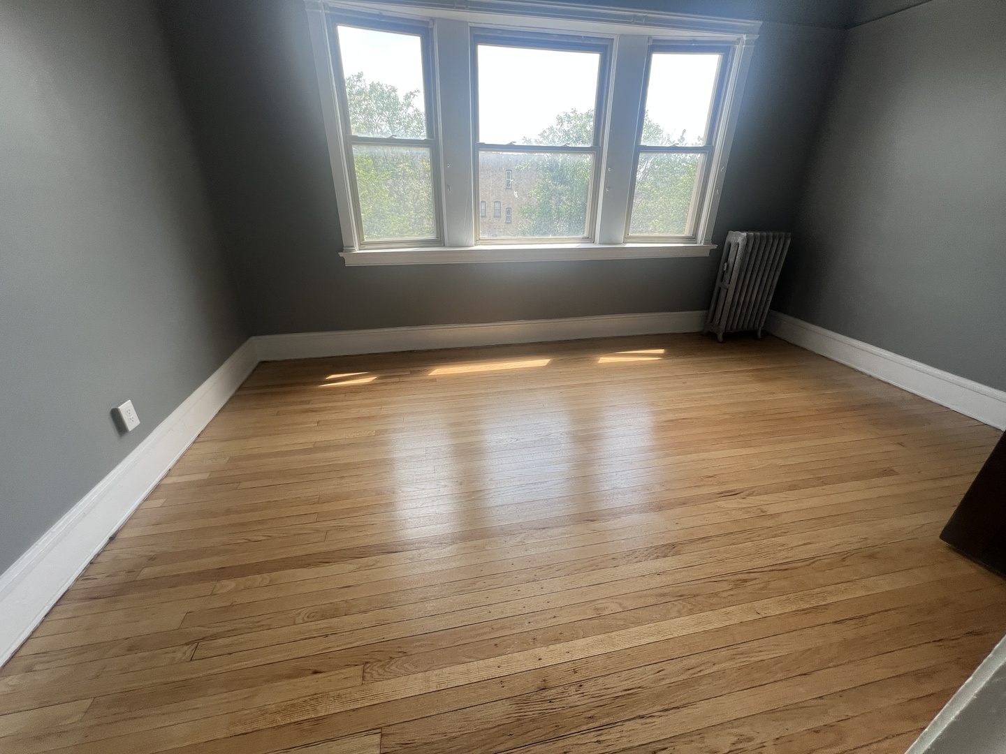 4958 S Michigan Avenue 3s Property Photo 6