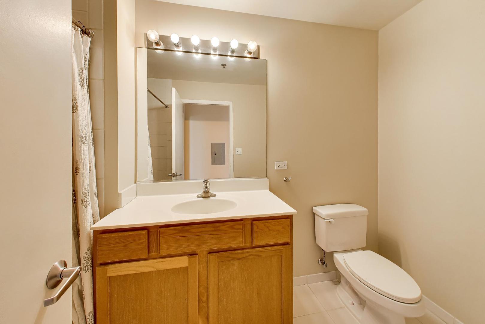1600 S Indiana Avenue 1301 Property Photo 17