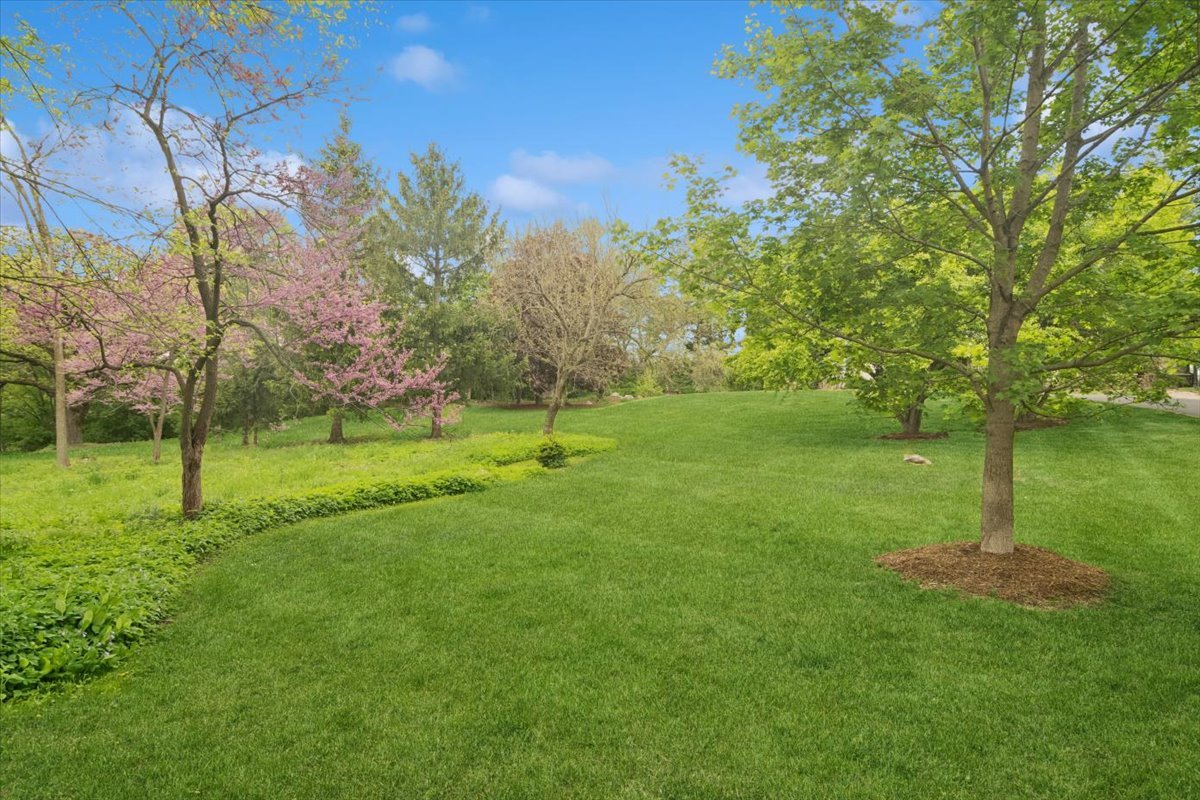 236 Steeplechase Road Property Photo 59