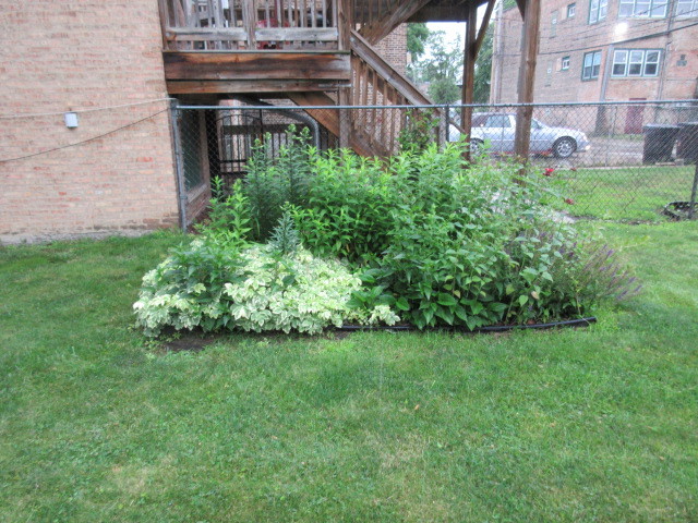1449 - 51 W Garfield Boulevard Property Photo 33