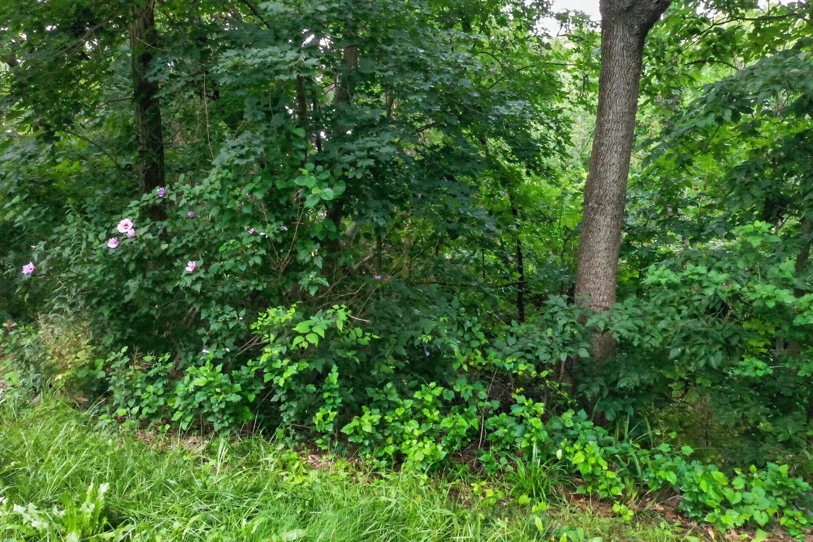 0 Eaton Avenue Property Photo 15