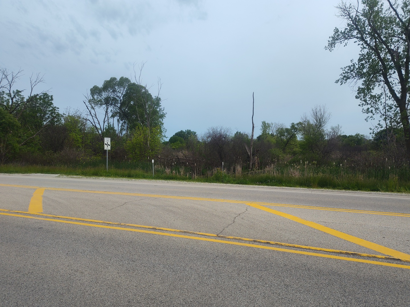 12923 W Wadsworth Road Property Photo 1