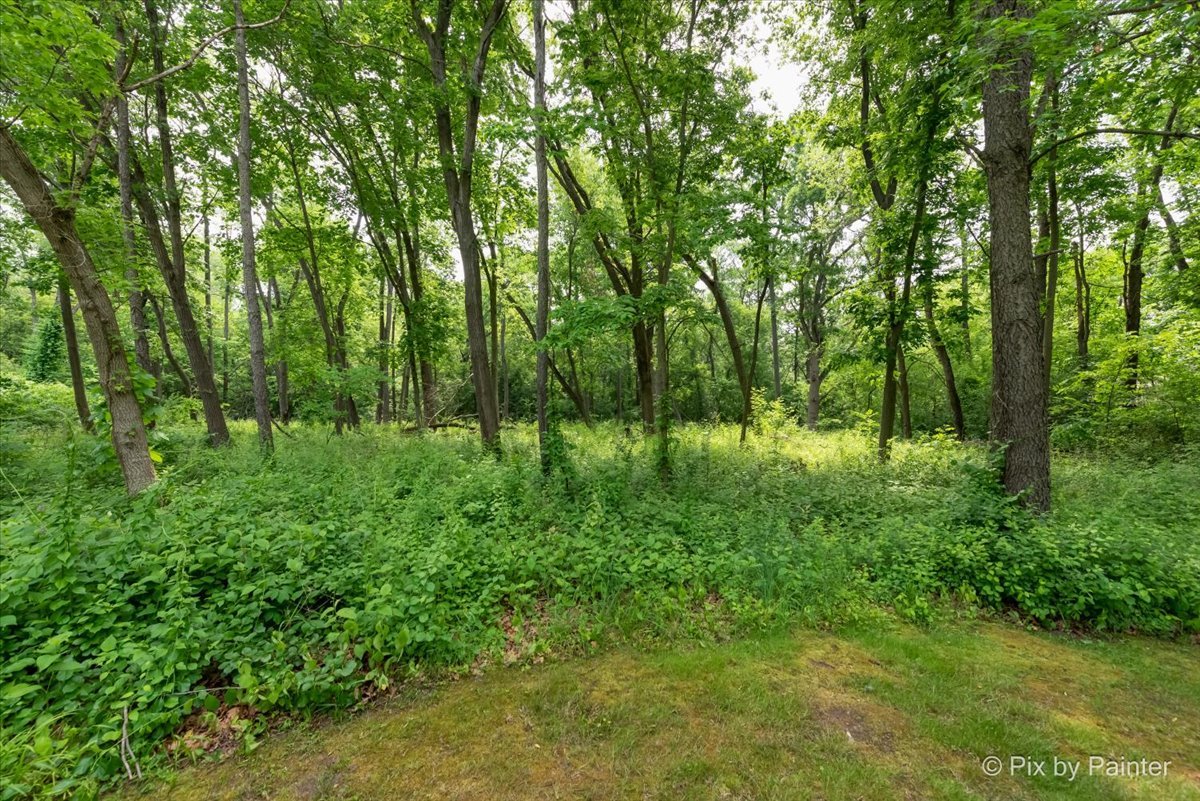 39225 Rangers Way Property Photo 3