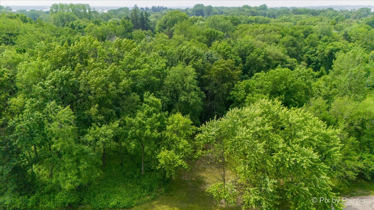 39225 Rangers Way Property Photo 6
