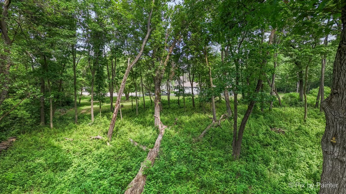 39203 Rangers Way Property Photo 11