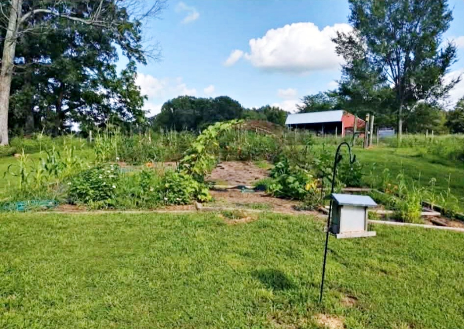 5704 Marion Road Property Photo 27