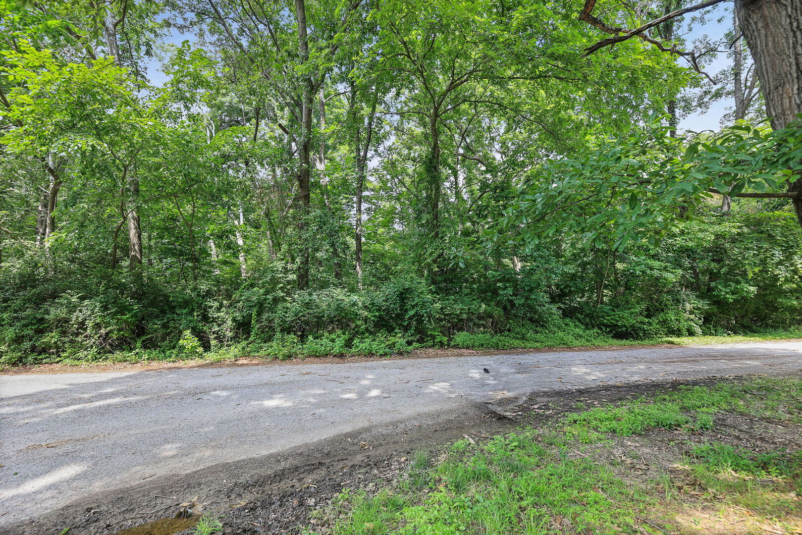 Lot 1 Brookhaven Drive Property Photo 6