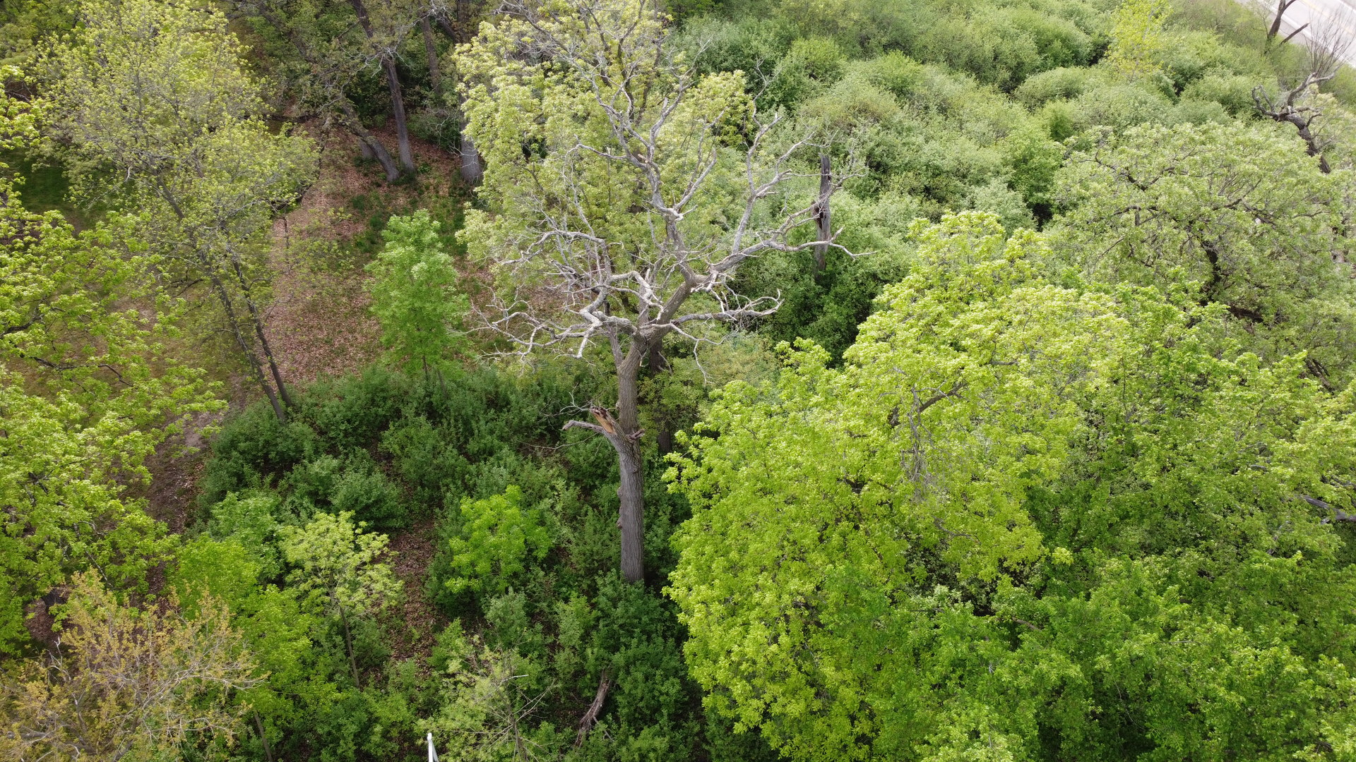 120 N Rainbow Road Property Photo 3