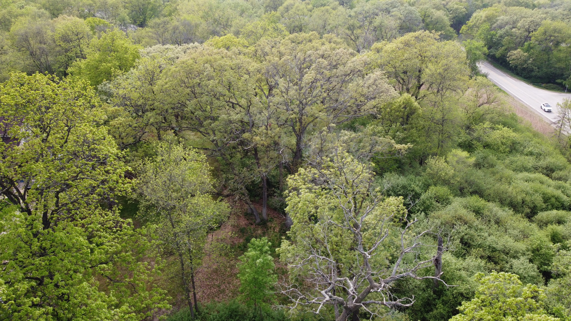 120 N Rainbow Road Property Photo 4
