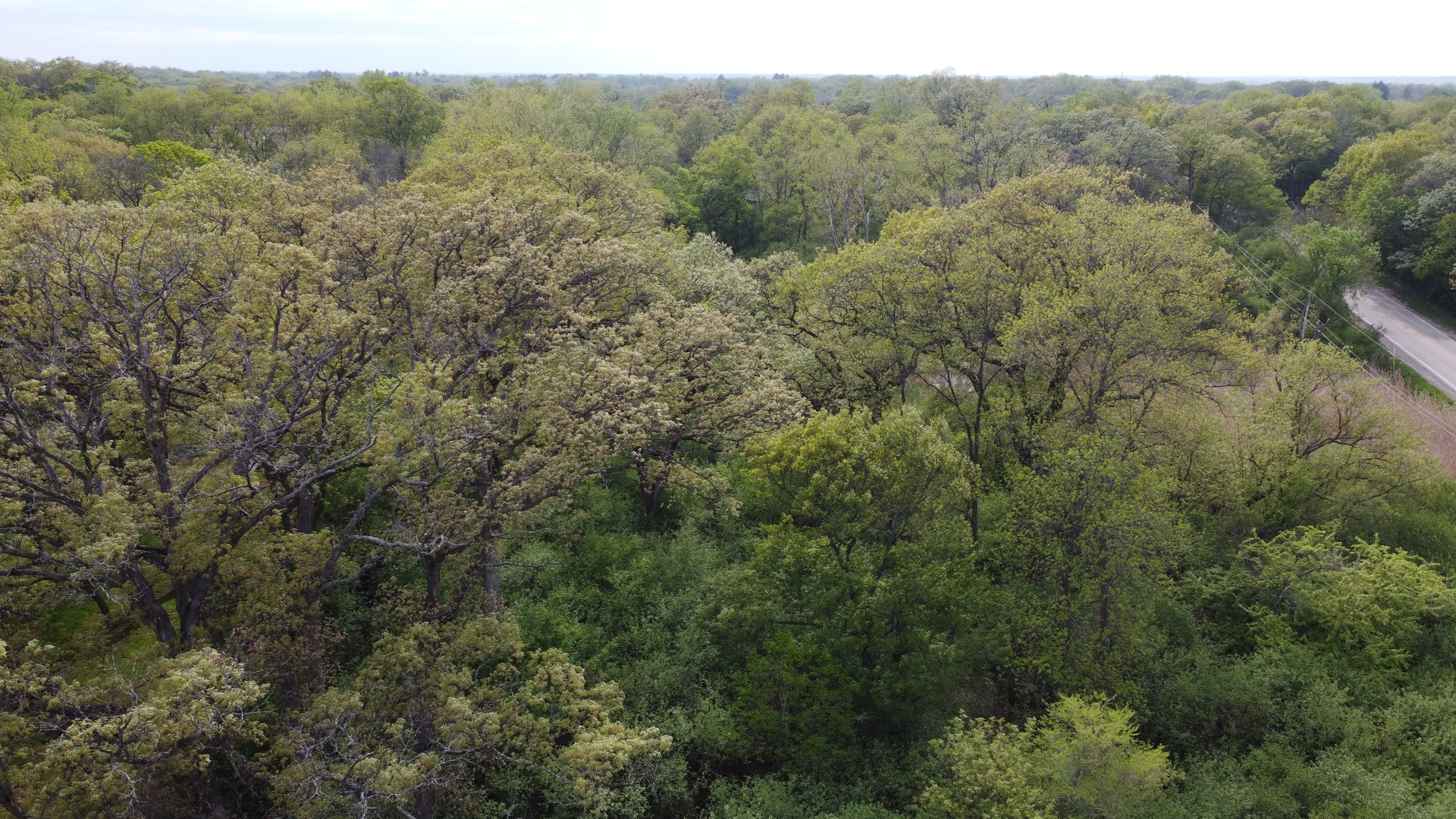 120 N Rainbow Road Property Photo 5